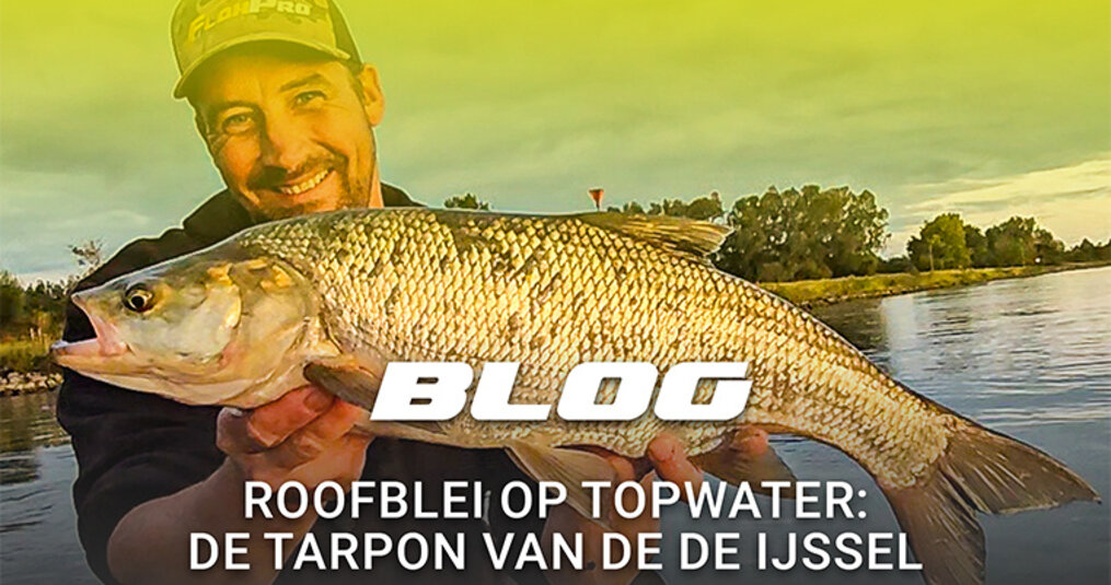 Roofblei op Topwater: De tarpon van de de IJssel