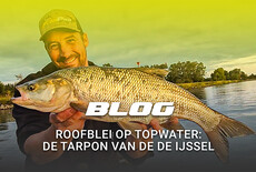 Roofblei op Topwater: De tarpon van de de IJssel