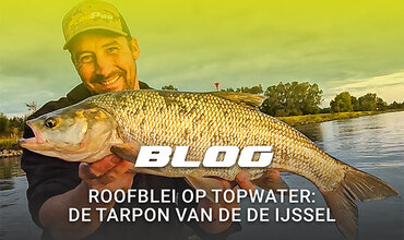Roofblei op Topwater: De tarpon van de de IJssel