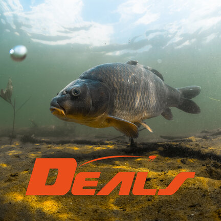 Karpfer DEALS
