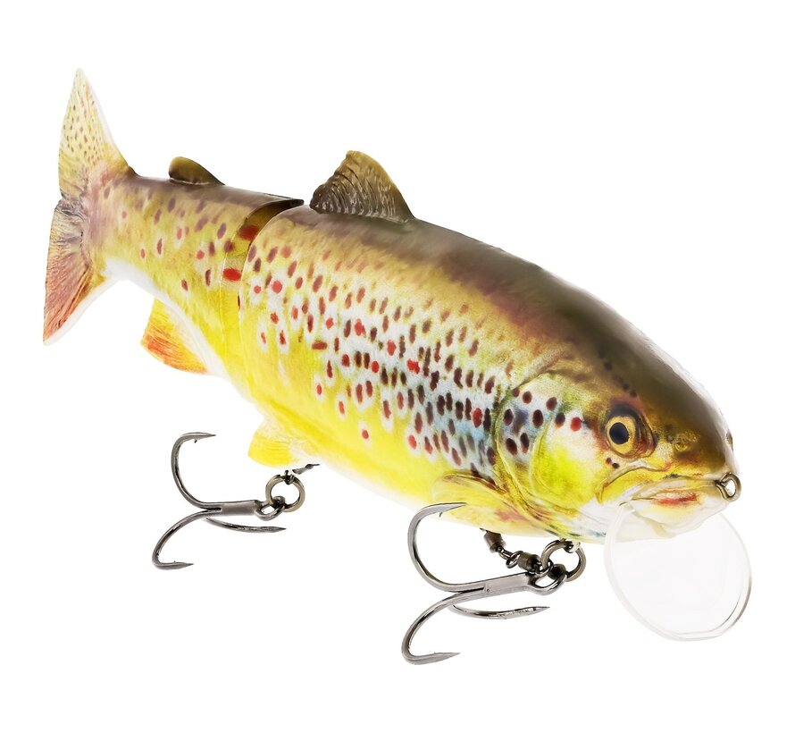 Tommy The Trout 25CM 205G Slow Sinking