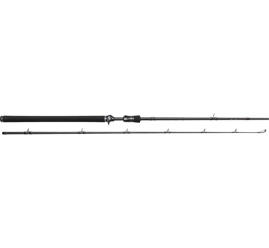 W3 Jerkbait-T 6'6"/198CM H 20-80G 2SEC