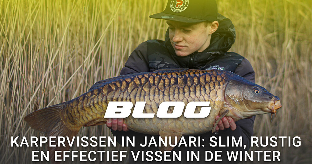 Karpervissen in januari: slim, rustig en effectief vissen in de winter