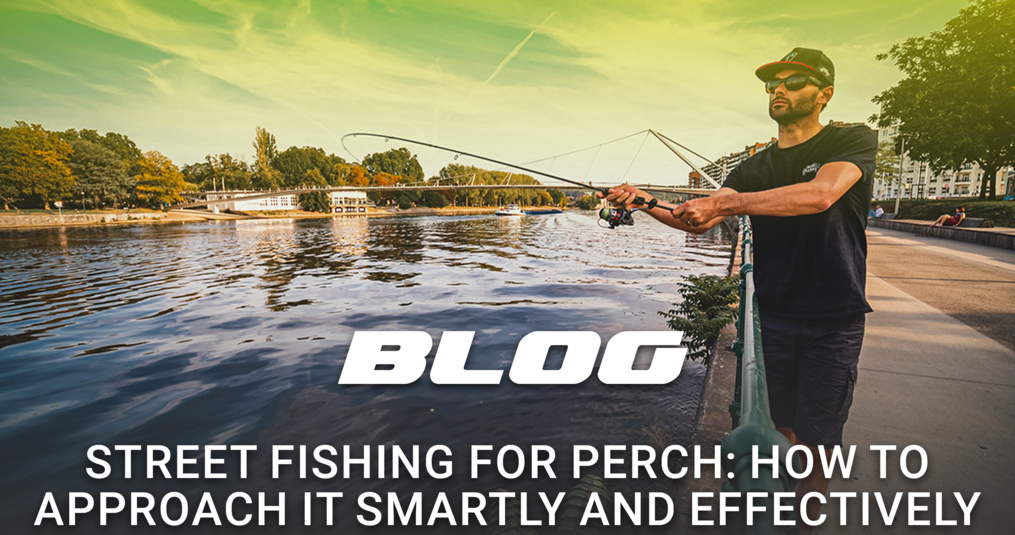 Street fishing for perch: how to approach it smartly and effectively in the city
