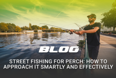 Street fishing for perch: how to approach it smartly and effectively in the city