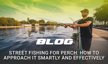 Street fishing for perch: how to approach it smartly and effectively in the city