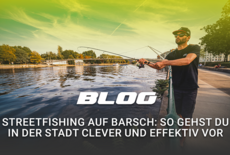 Streetfishing auf Barsch: So gehst du in der Stadt clever und effektiv vor