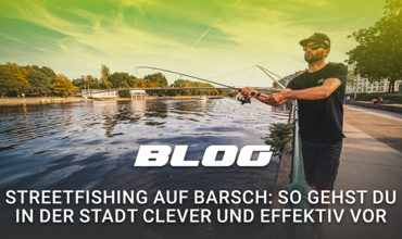 Streetfishing auf Barsch: So gehst du in der Stadt clever und effektiv vor
