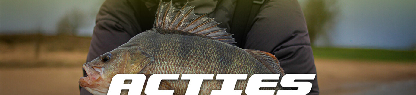 Baarsacties bij FlohPro