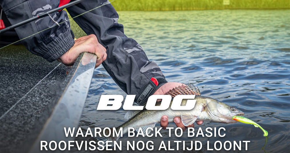 Waarom back to basic roofvissen nog altijd loont