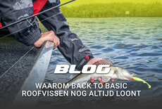 Waarom back to basic roofvissen nog altijd loont