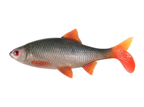 Fox Rage Ultra Realistic Replicant Roach