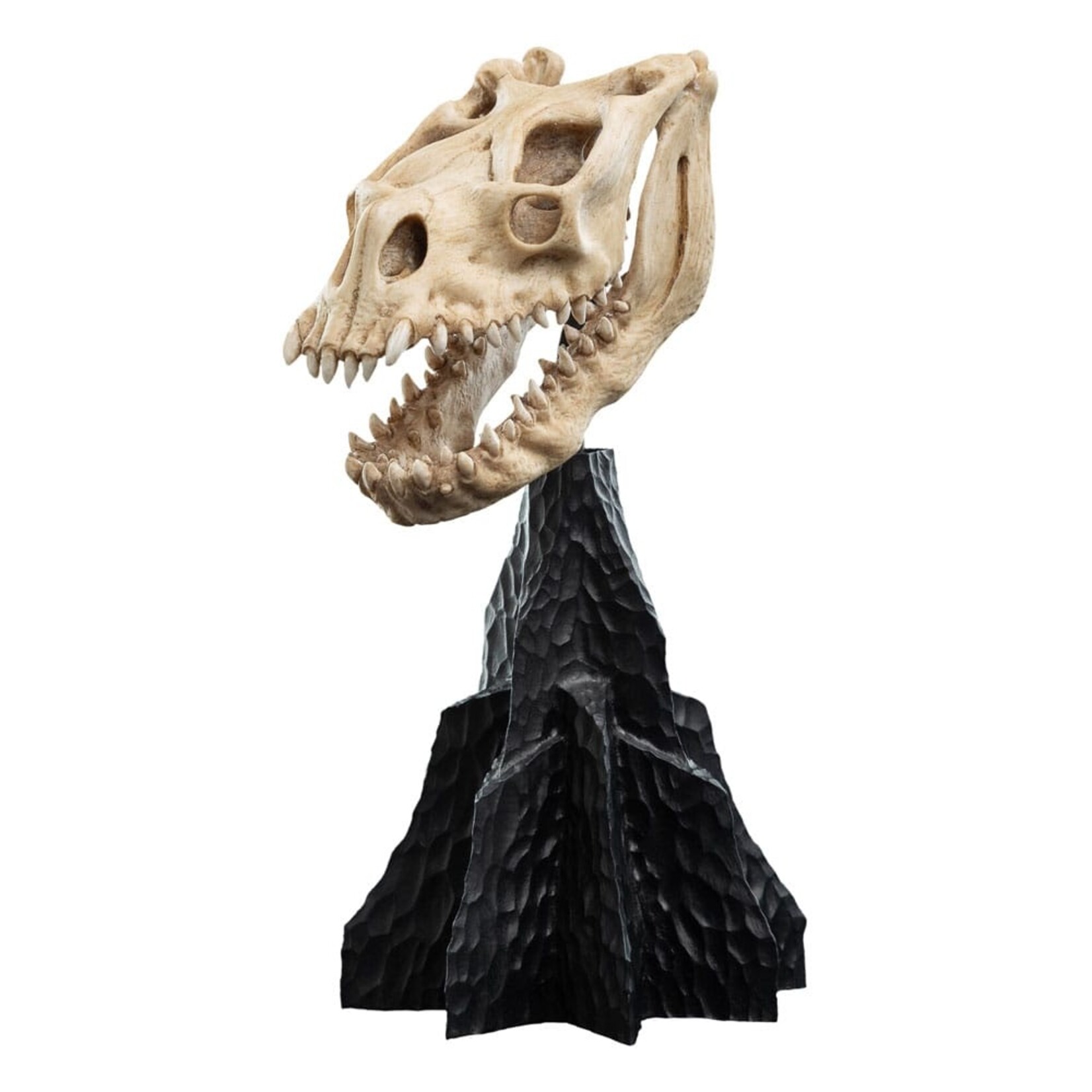 Weta Workshop Lord of the Rings Mini Statue Skull of a Fell Beast 21 cm  | Pre-Order 05/2025