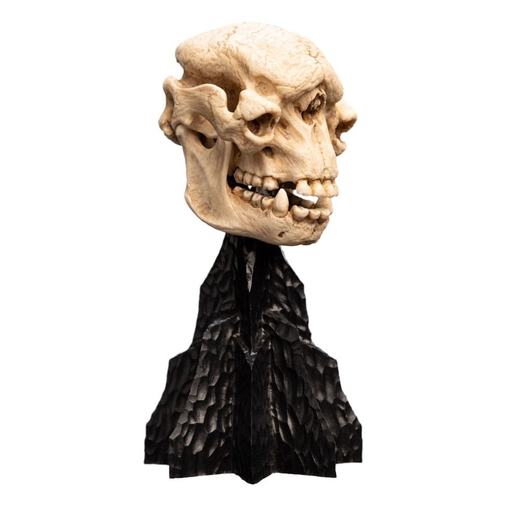 Weta Workshop Lord of the Rings Mini Statue Skull of a Cave Troll 21 cm  | Pre-Order 05/2025