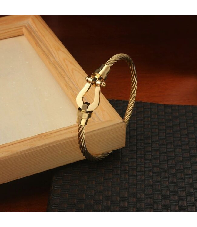 Mpariz  Luxe Armband Draad Goud  & Goud  RVS