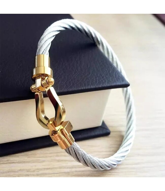 Mpariz  Luxe  Armband Draad Zilver & Goud RVS