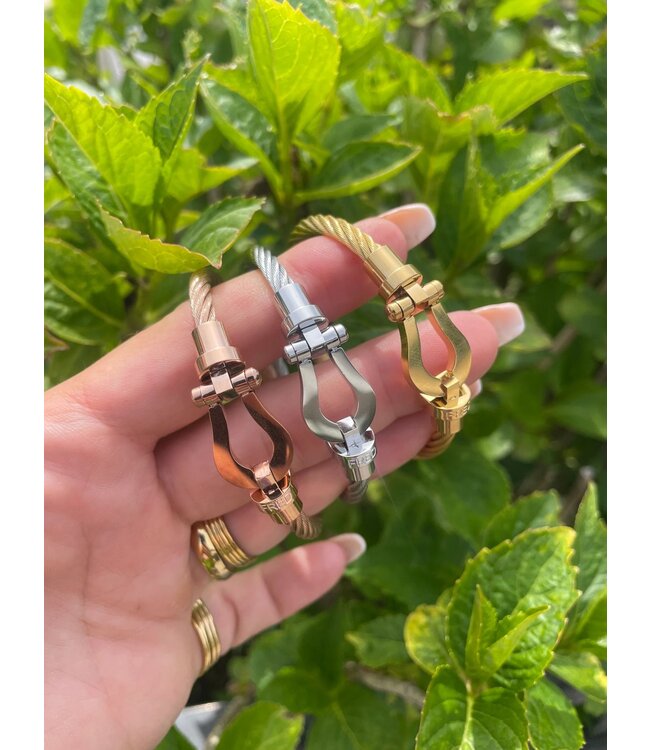 Mpariz  Luxe  Armband Draad Zilver & Goud RVS