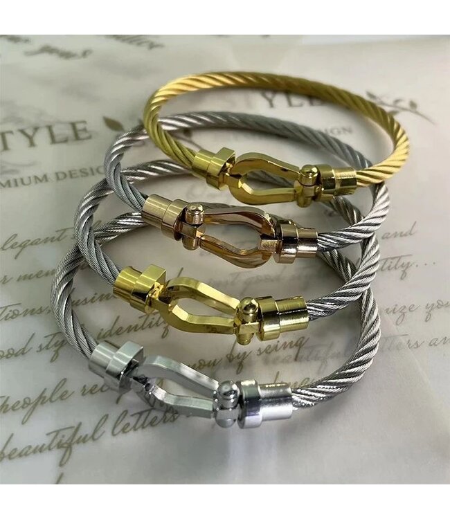 Mpariz  Luxe  Armband Draad Zilver & Goud RVS
