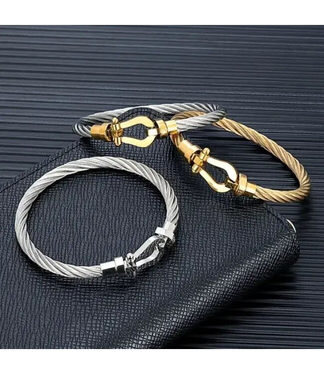 Mpariz  Luxe  Armband Draad Zilver & Goud RVS