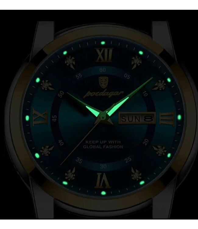 Poedagar Luxe HerenHorloge Zilver  Blauw & Groen
