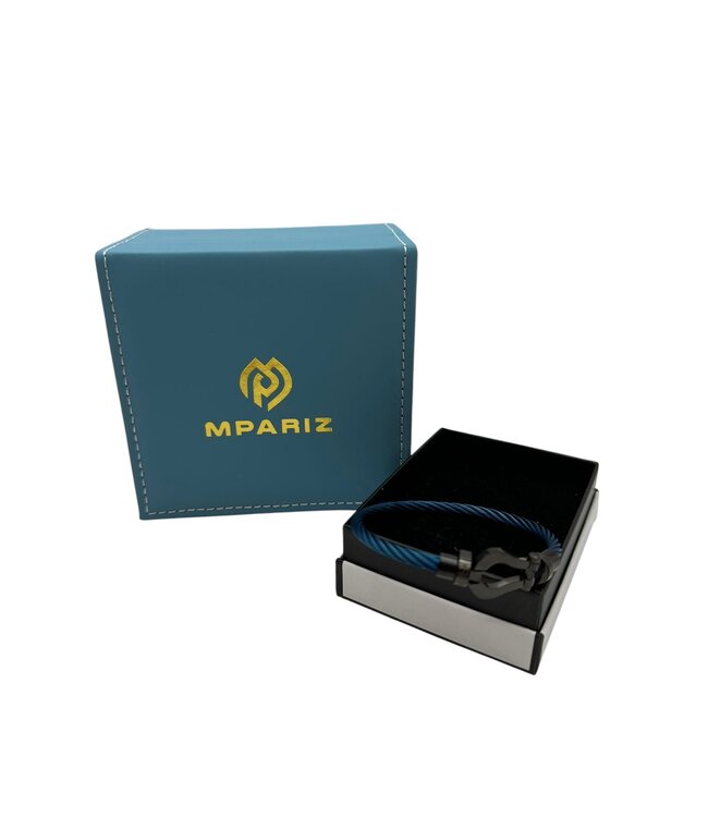 Mpariz Luxe Armband  Draad Blauw & Goud RVS