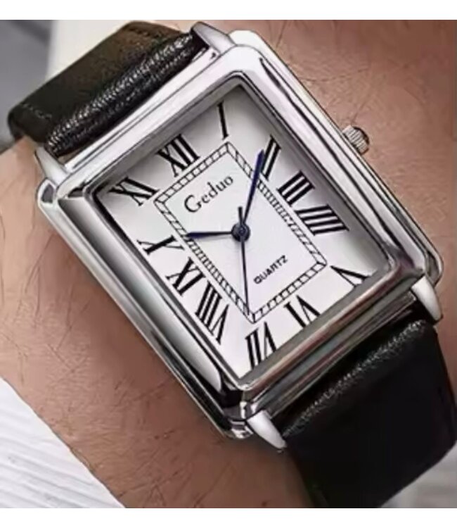 Mpariz Luxe Herenhorloge Zilver &  Wit