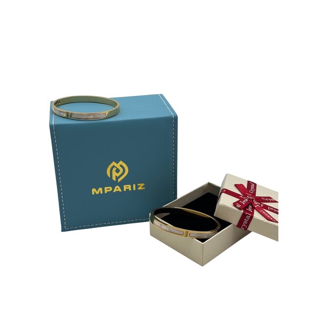 Mpariz Luxe Damesarmband  Titanium  Armband  Zirkonia Inleg