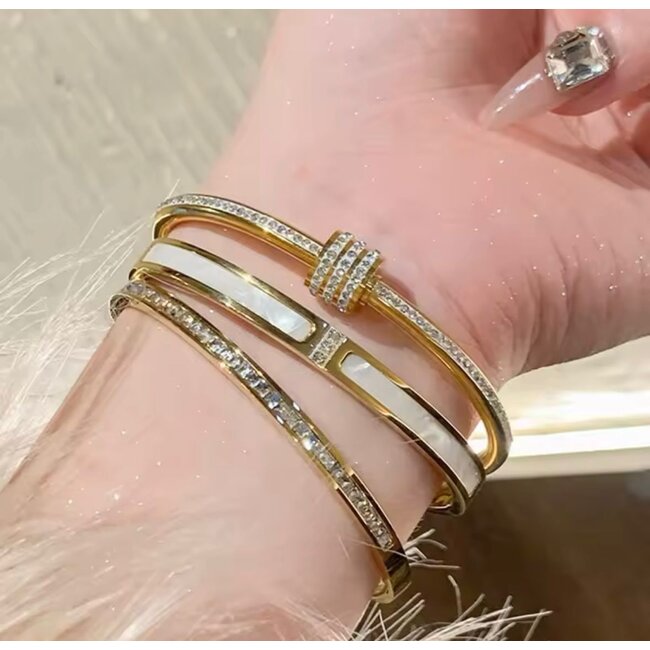 Mpariz Luxe Damesarmband  Titanium  Armband  Zirkonia Inleg