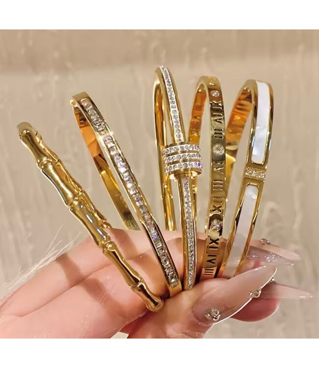 Mpariz Luxe Damesarmband  Titanium  Armband  Zirkonia Inleg