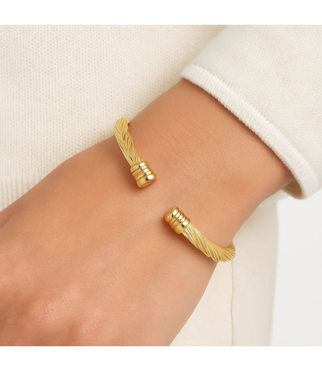 Mpariz Luxe Heren armband   Goud  Titanium