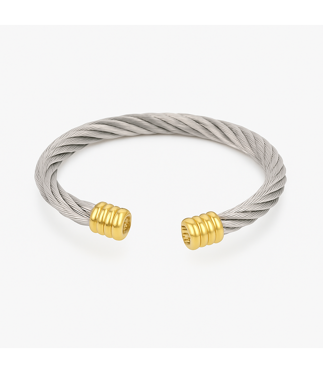 Mpariz Luxe Heren armband   Goud  Titanium