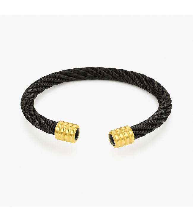 Mpariz Luxe Heren armband   Goud  Titanium