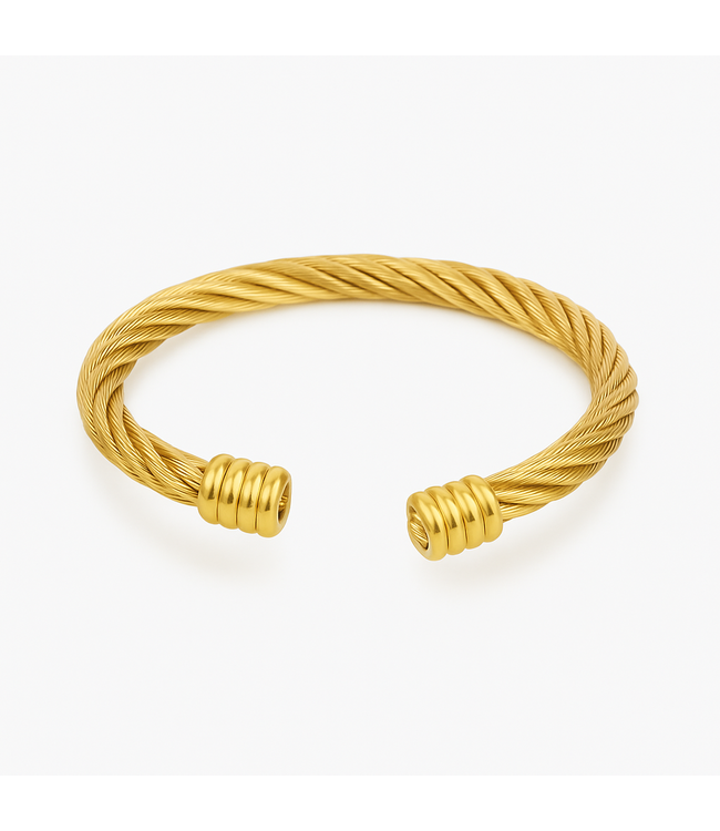 Mpariz Luxe Heren armband   Goud  Titanium