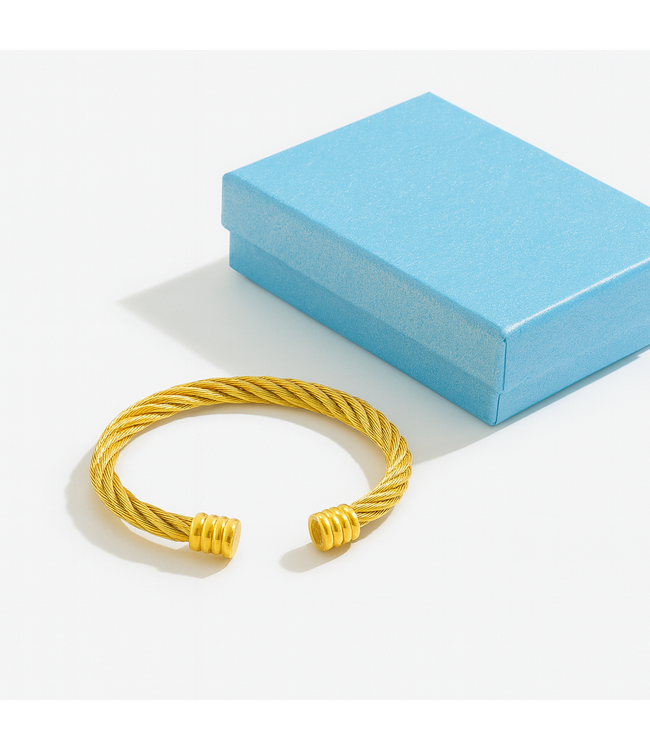 Mpariz Luxe Heren armband   Goud  Titanium