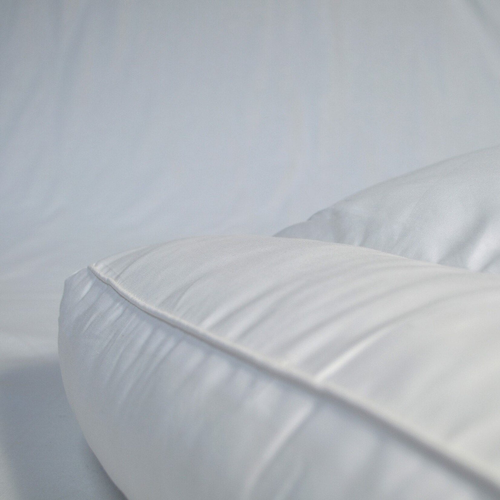 Zydante Swisstech Zydante Swisstech Box Nekkussen