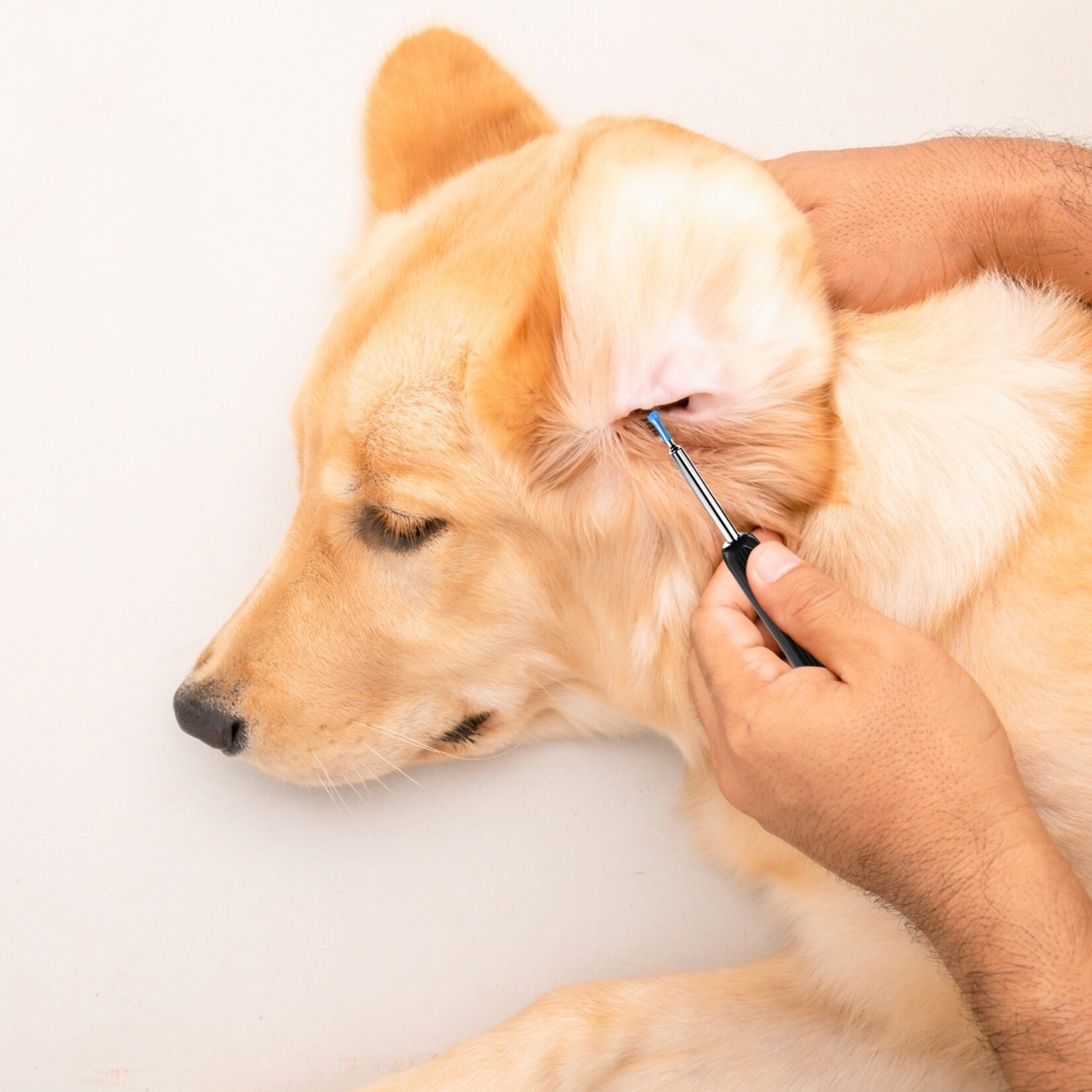 Nexxt Oplaadbare Oorreiniger met 720P Camera en Live Beeld via App