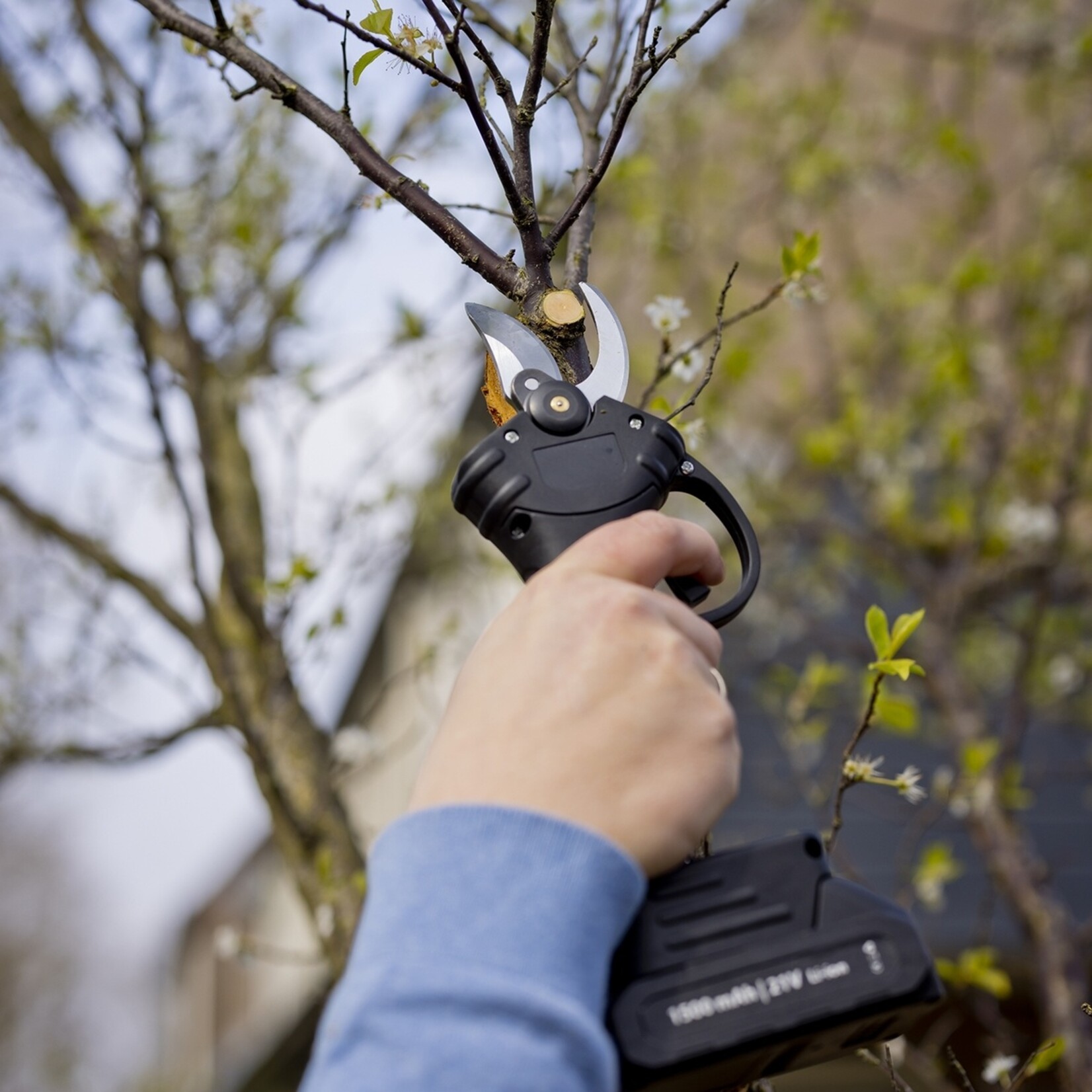 QLT No Less Elektrische Snoeischaar op Accu – Snoerloze Takkenschaar en Opbergkoffer