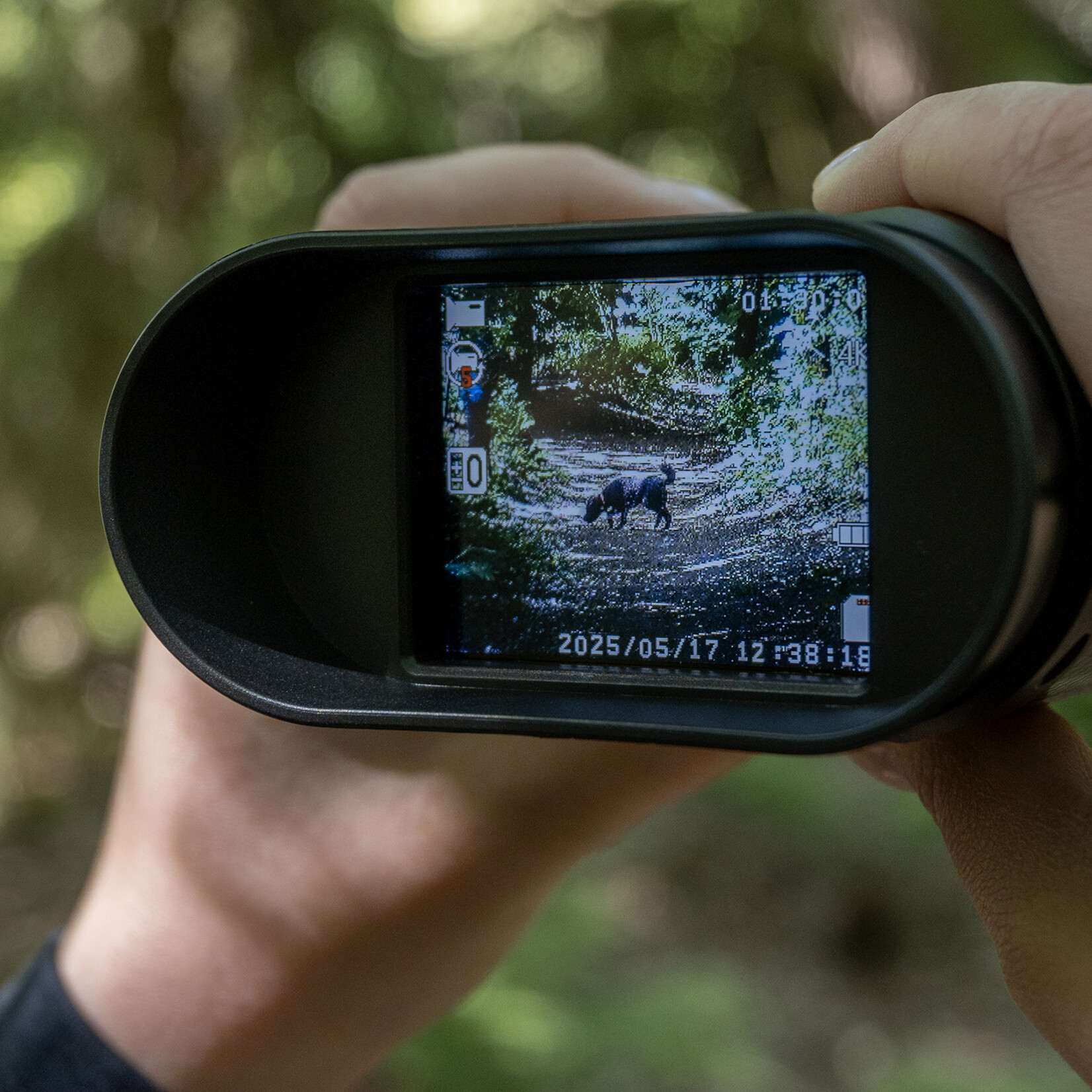 BREND Digitale Verrekijker met Nachtmodus en 3D – 300 Meter Zicht