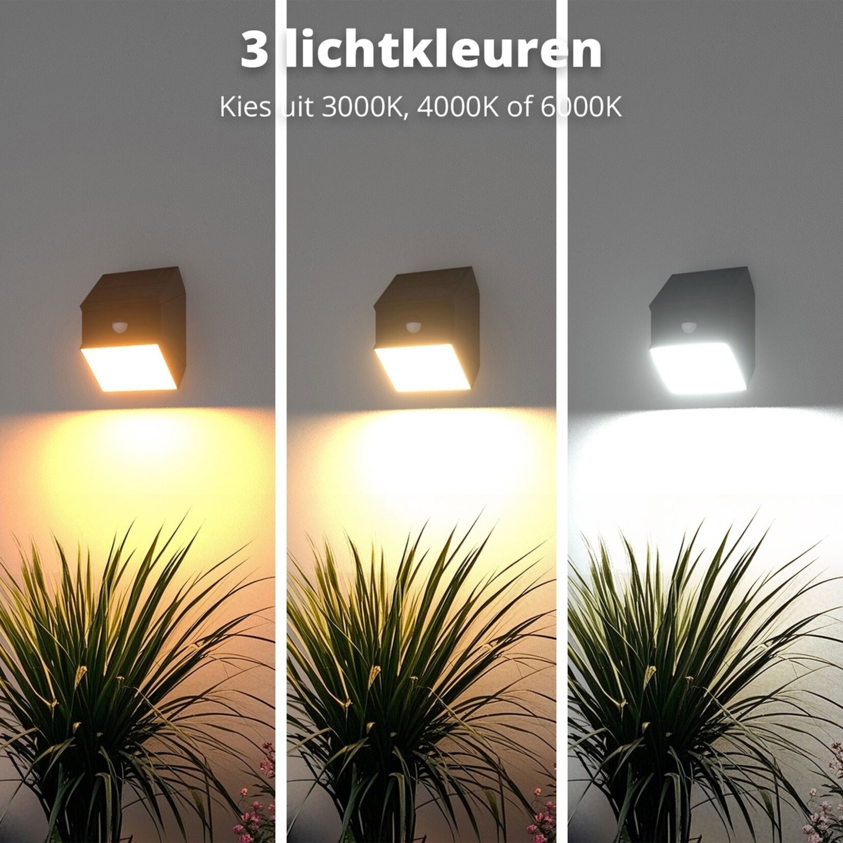 FlinQ Draaibare Solar Wandlamp voor Buiten op Zonne-energie met Sensor