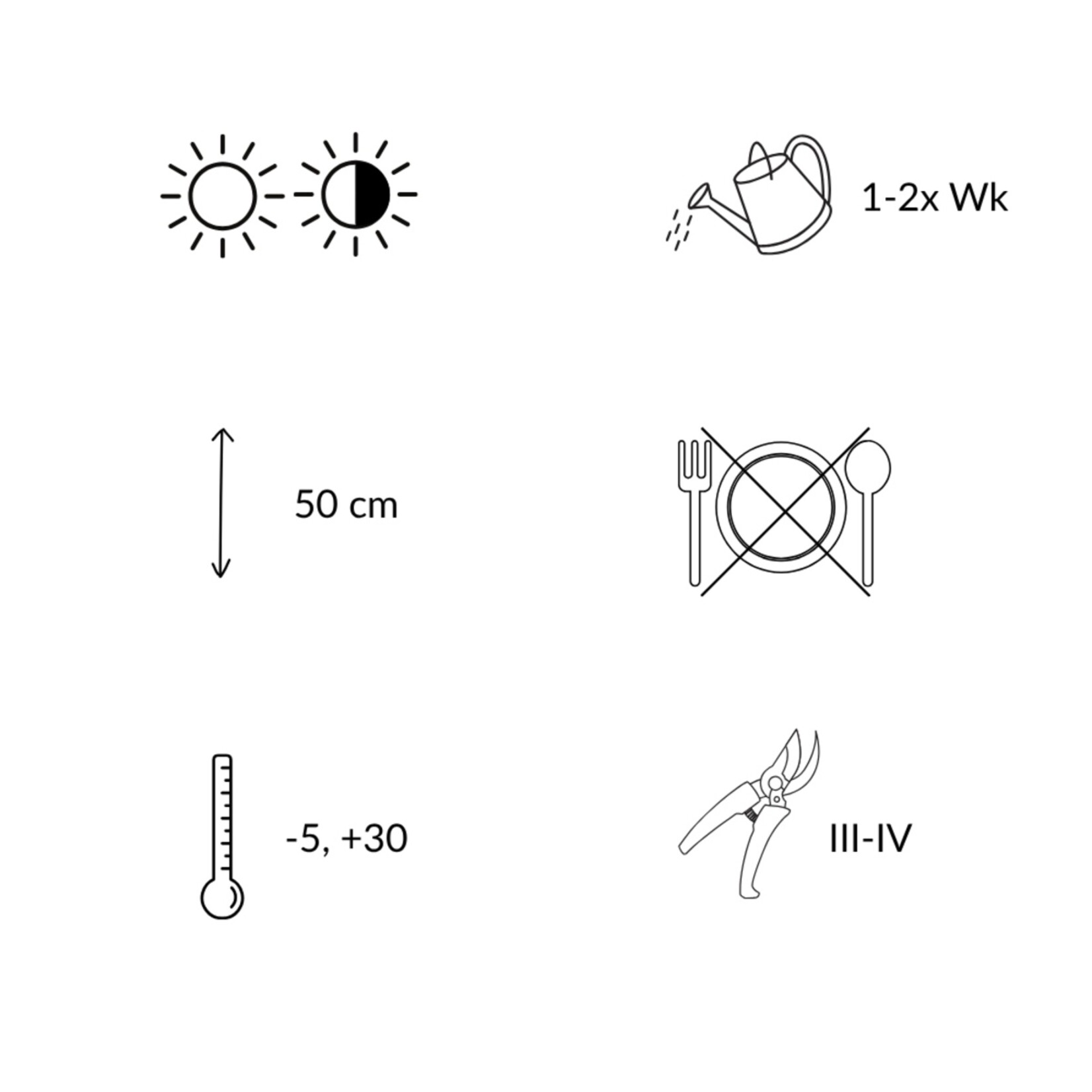 NatureNest Salvia Nemorosa Vaste Plant – Kleurrijke Ostfriesland Salie