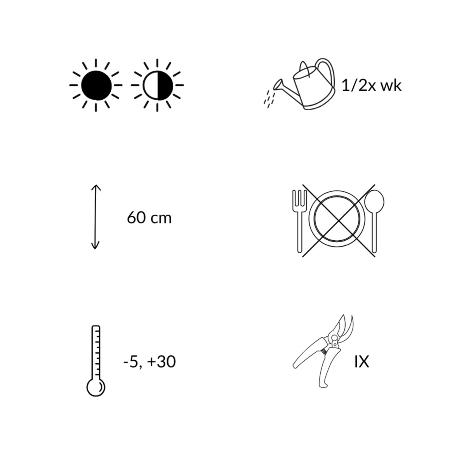 NatureNest Pennisetum Alopecuroides Hameln Siergras – Zachte Pluimen – 3