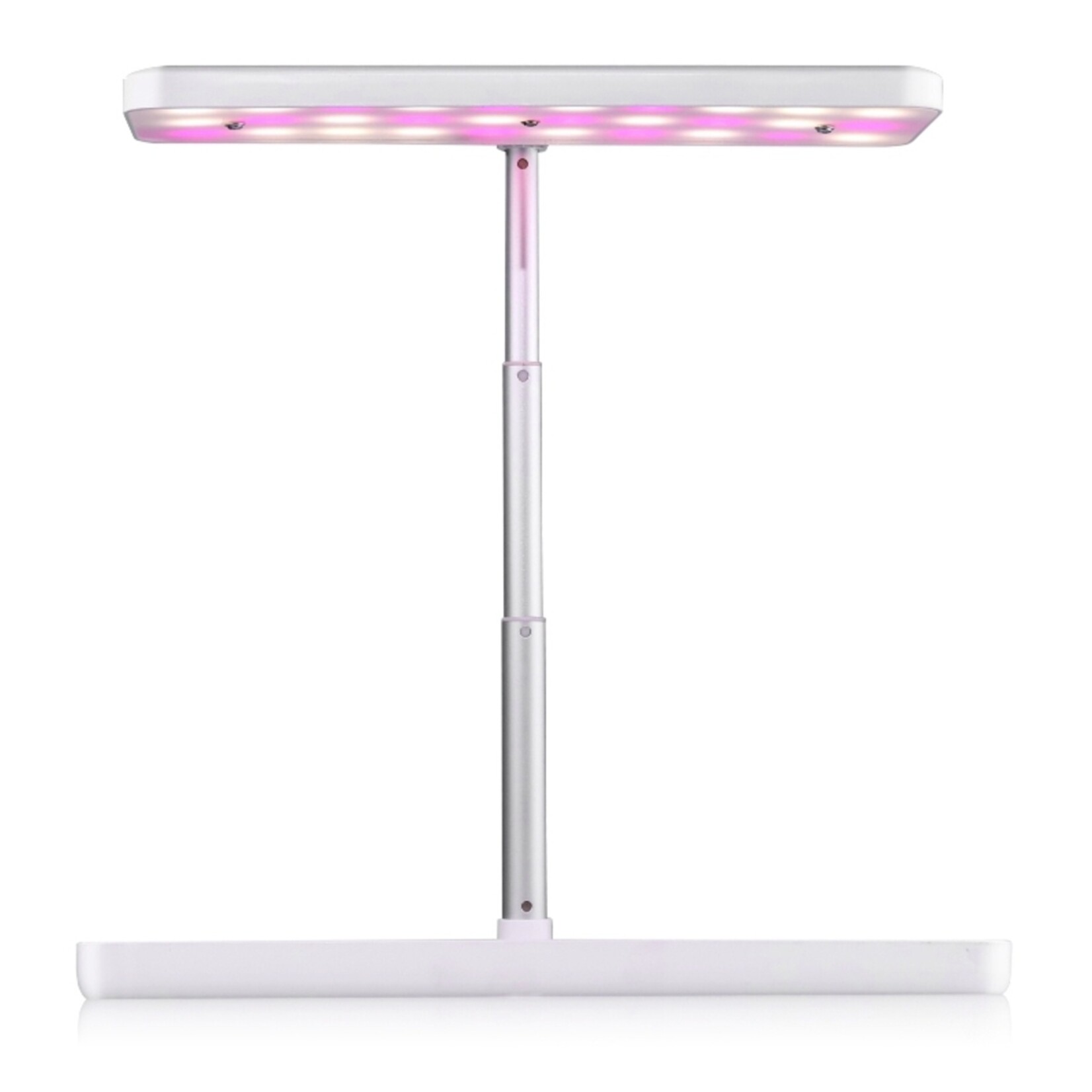 SPR Kweekstation met LED Groeilamp en Timer