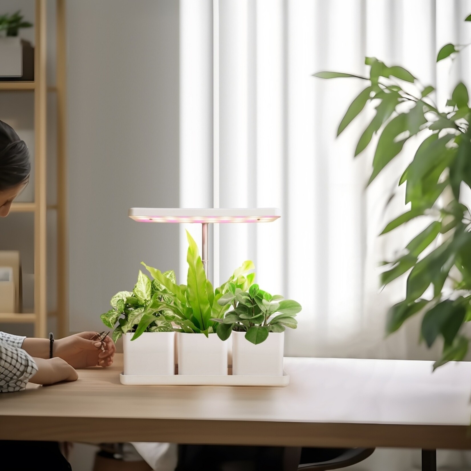 SPR Kweekstation met LED Groeilamp en Timer