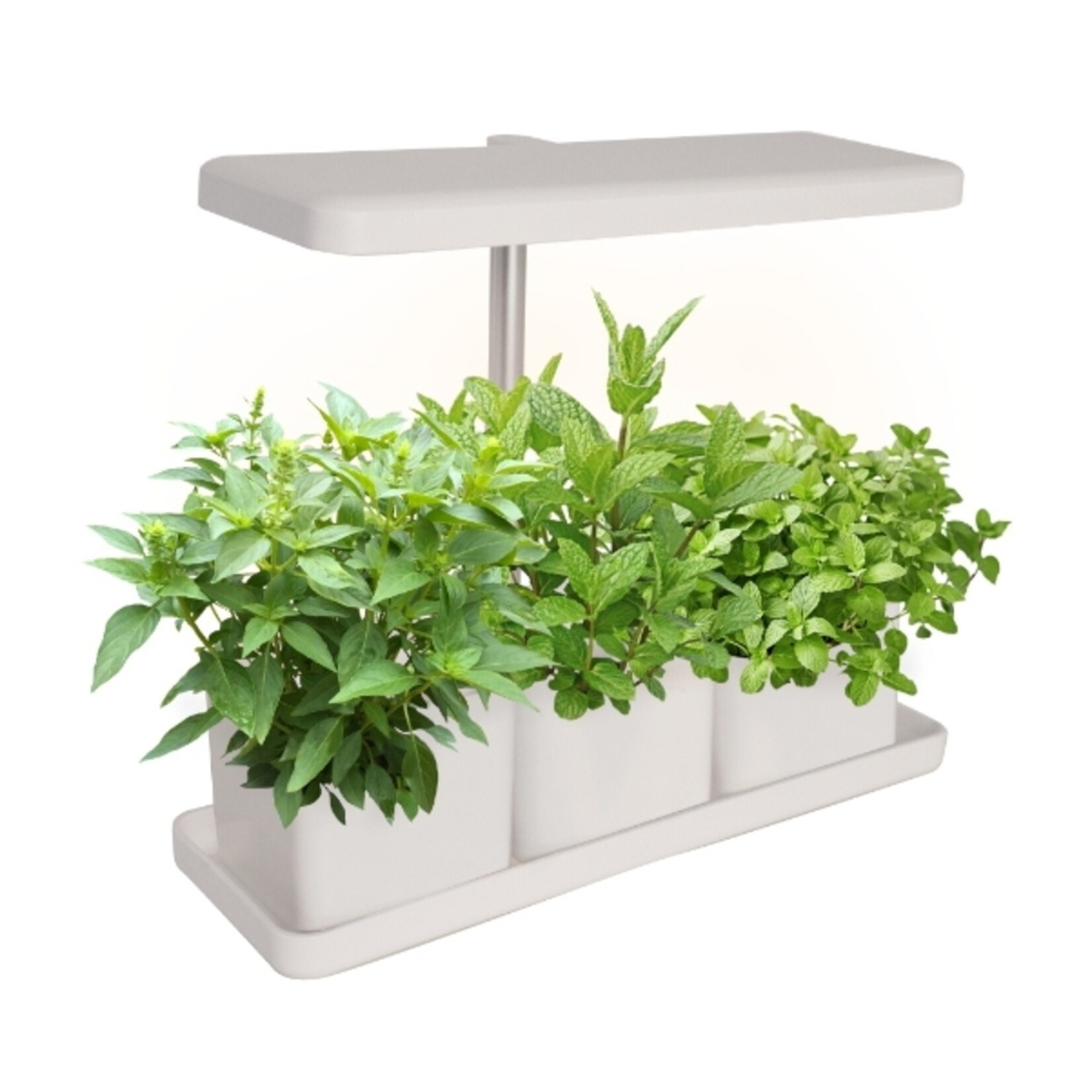 SPR Kweekstation met LED Groeilamp en Timer