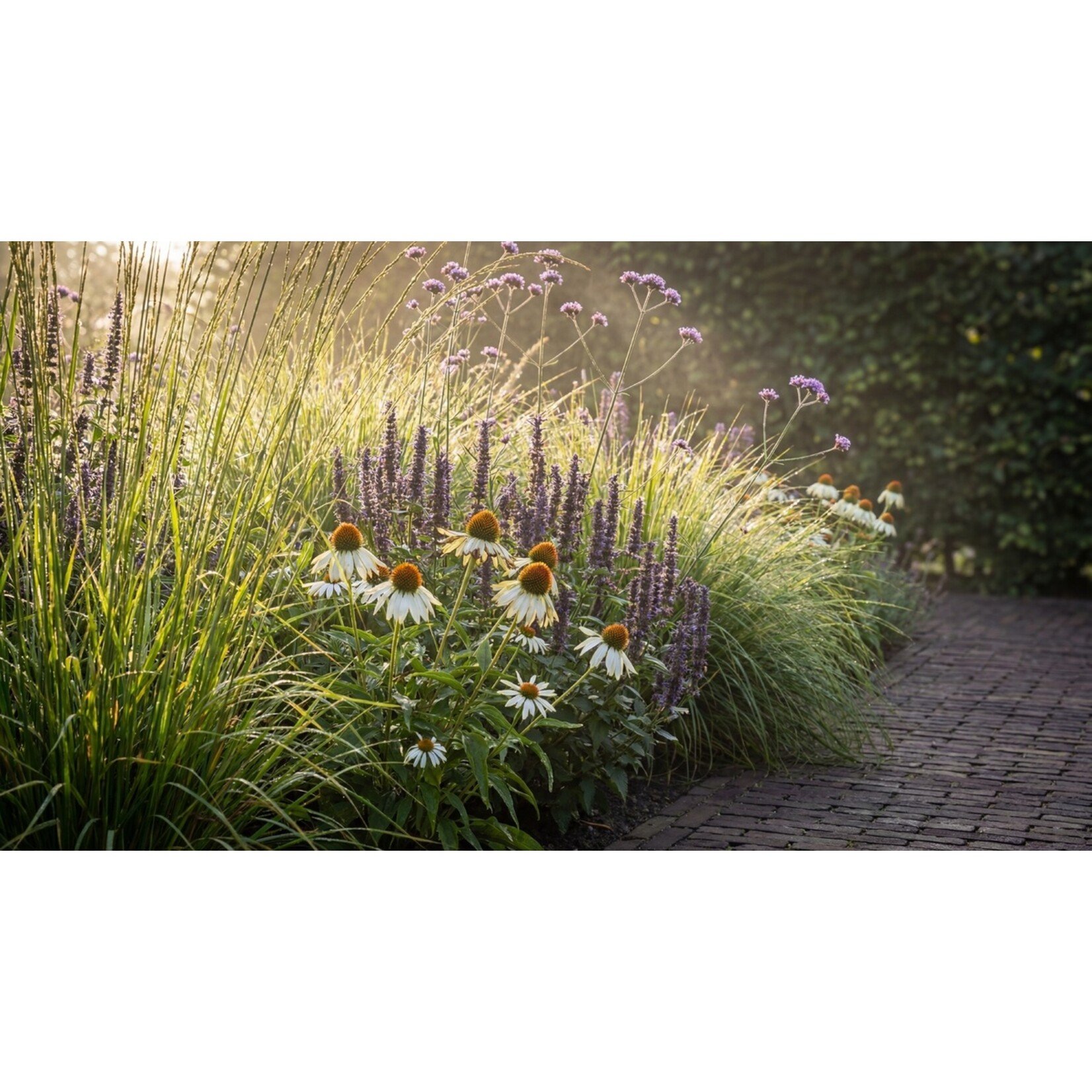 NatureNest Borderpakket Joy - Vaste Borderplanten Mix - Kleurrijke Bloeiers voor de Tuin