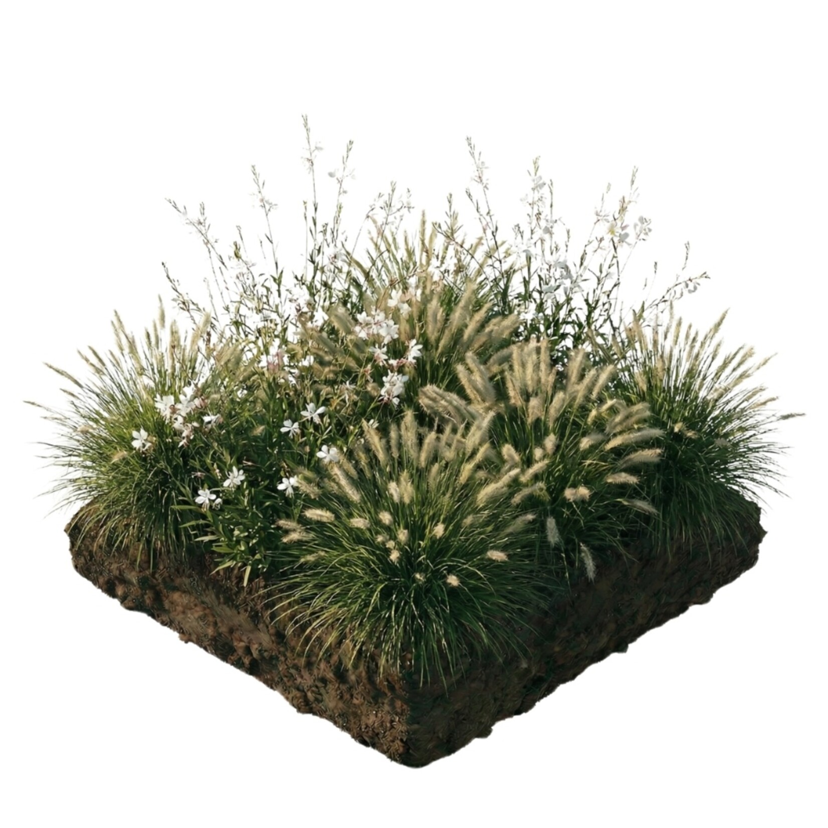 NatureNest Borderpakket Luna - Vaste Borderplanten Mix - Bloeiers voor Zonnige Border