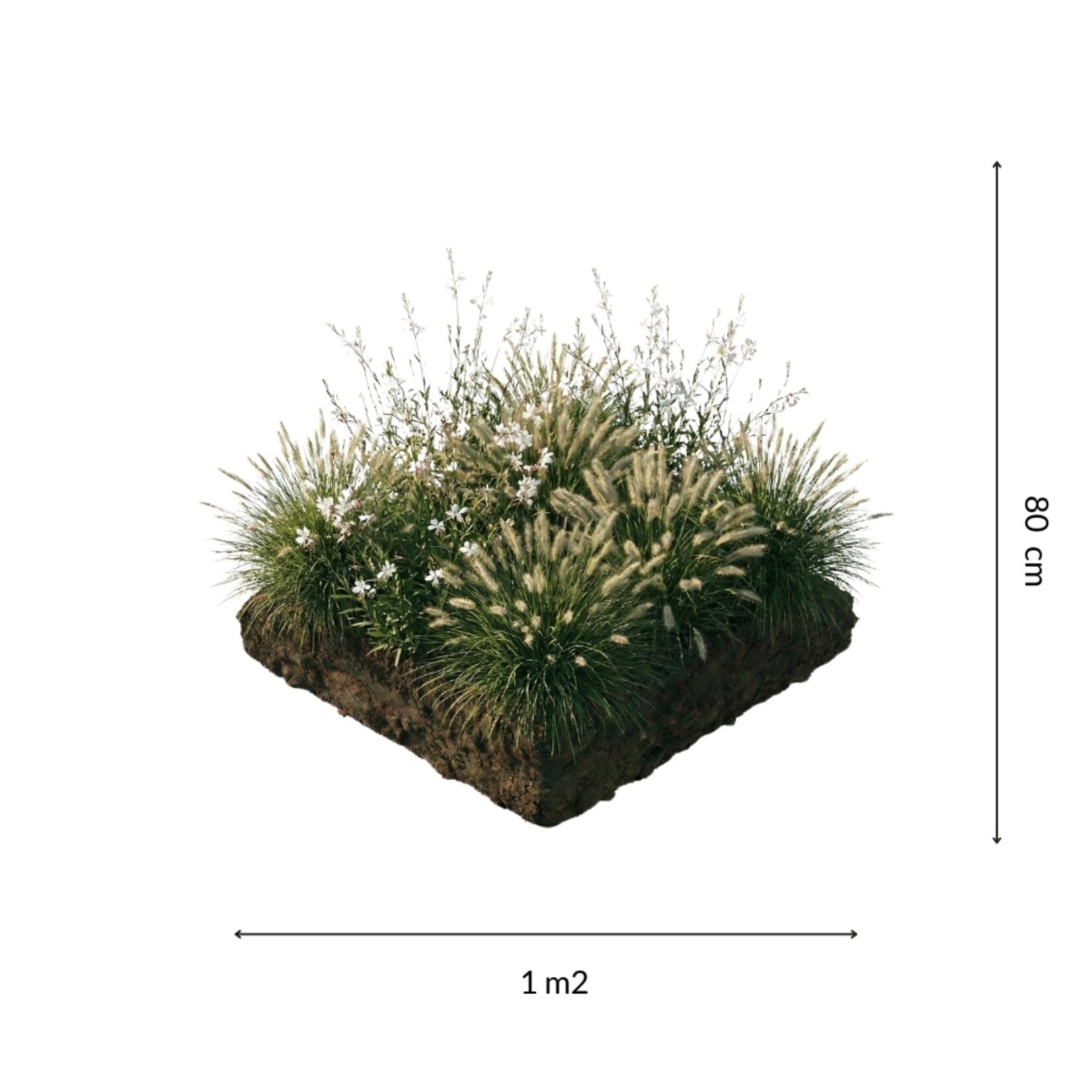 NatureNest Borderpakket Luna - Vaste Borderplanten Mix - Bloeiers voor Zonnige Border