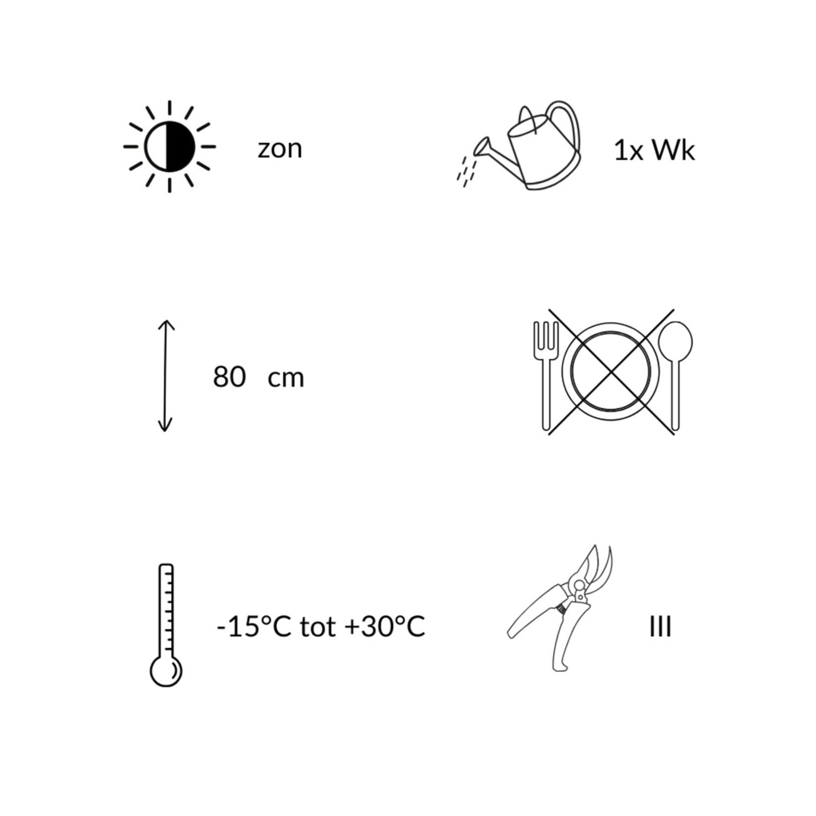 NatureNest Borderpakket Zoë - Vaste Borderplanten Mix - Kleurrijke Tuinborder