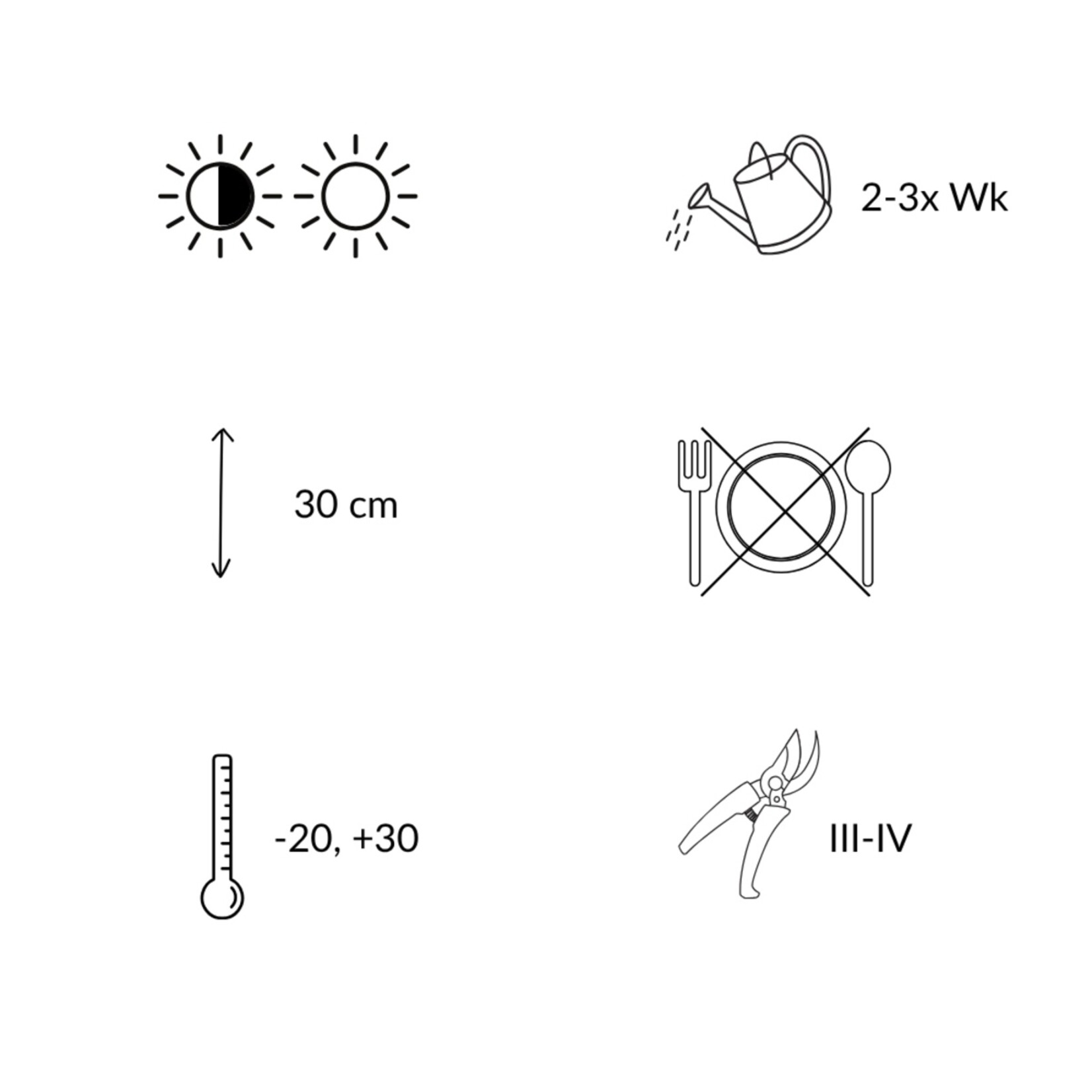 NatureNest Lavendel Hidcote - Set van 3 - Lavandula Angustifolia - Winterhard en Meerjarig