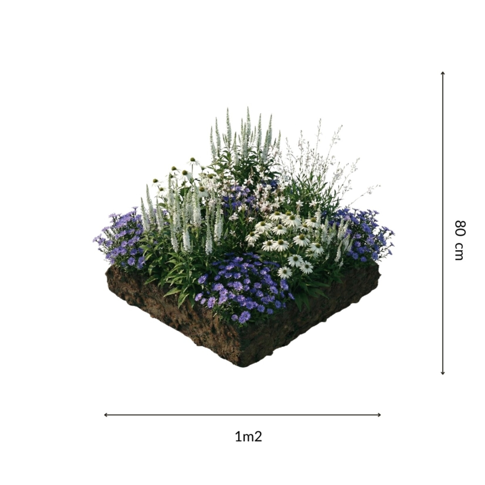 NatureNest Borderpakket Yara - Vaste Borderplanten Mix